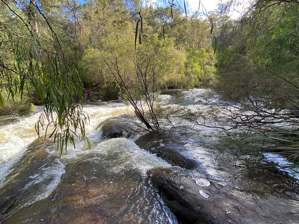 Natural Walking Trails
