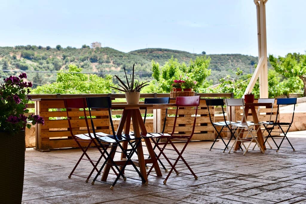 Guided Wine Tastings