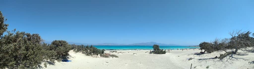 Shell Beach