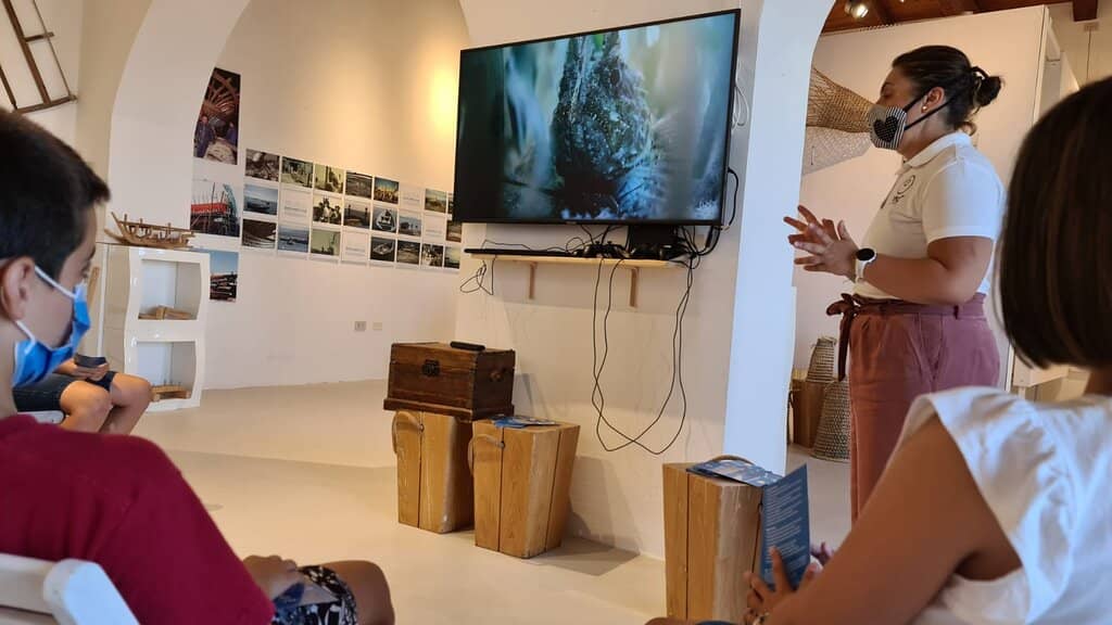 Lighthouse Collection