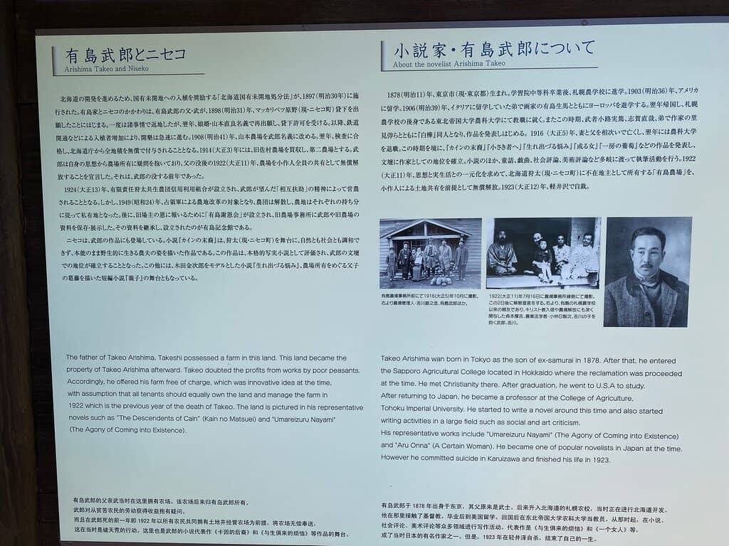 Book Cafe with a View