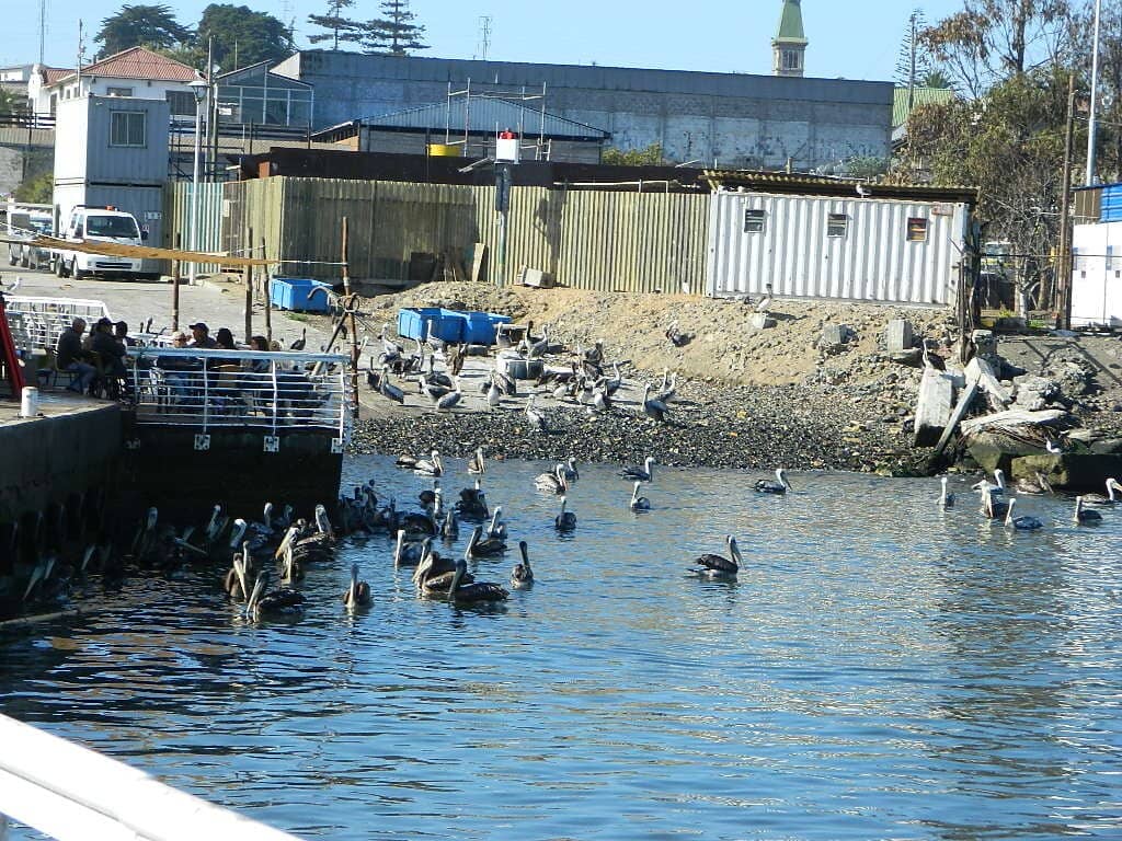 Ocean Views & Wildlife