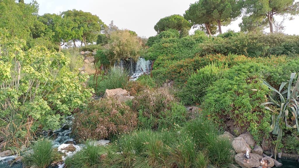 Scenic Waterways