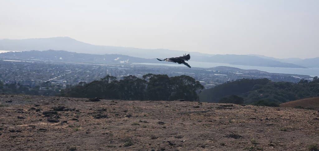 Diverse Hiking Trails