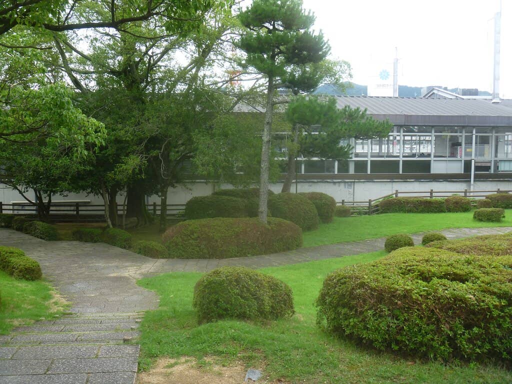 Elevated Viewpoint