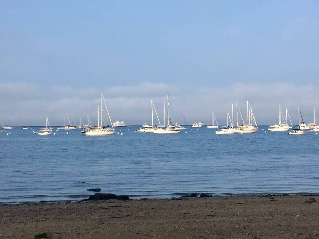 Birdwatching Paradise