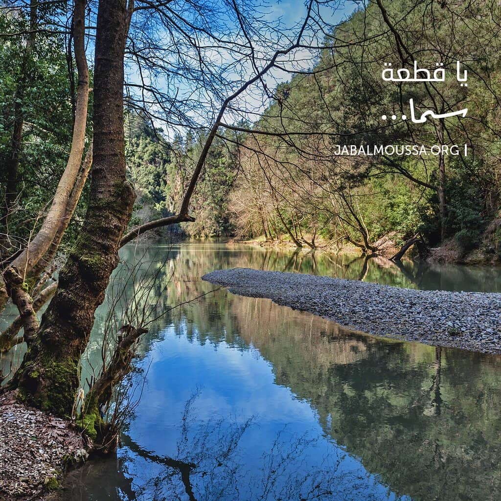 Ancient Roman Remains