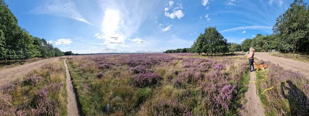 WWII Memorials and Monuments