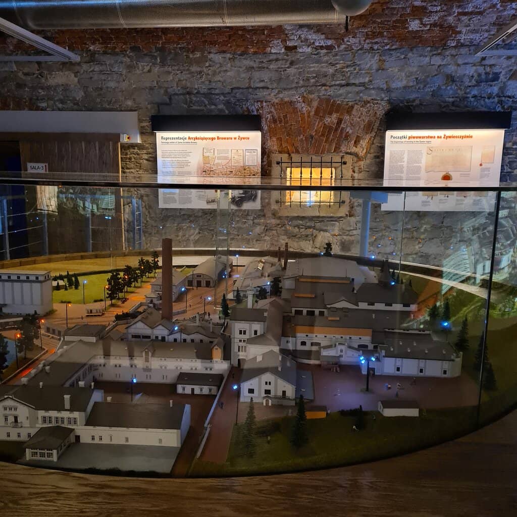 Beer Cellar & Tasting