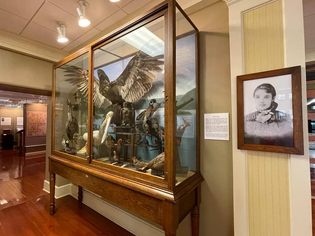 The 1st Amendment Exhibit