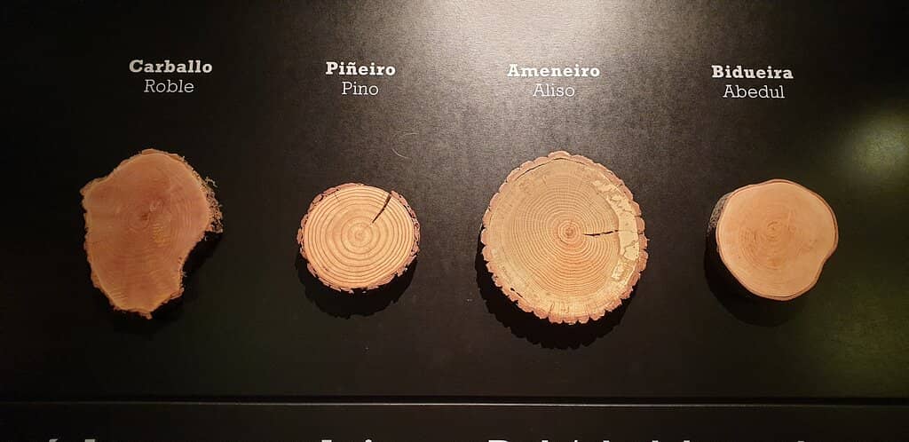 Panoramic Hilltop Views