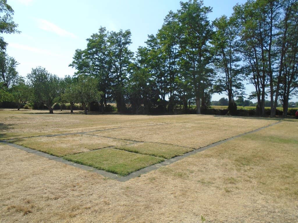 Oregon Trail Ruts