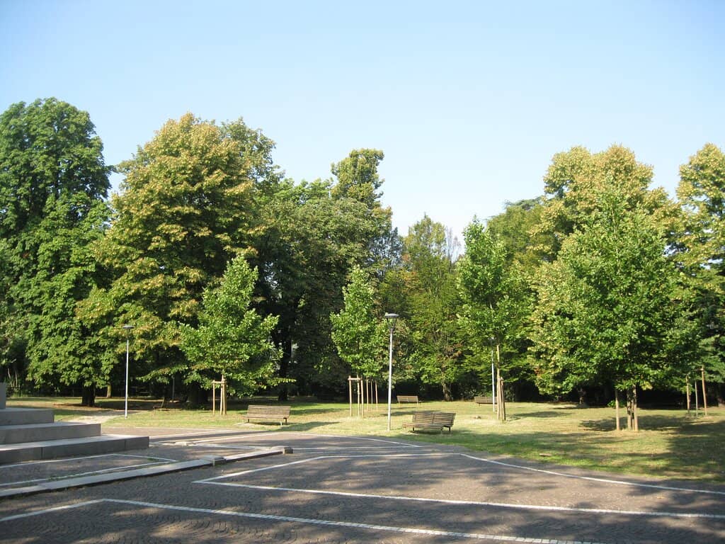 Dog-Friendly Green Space