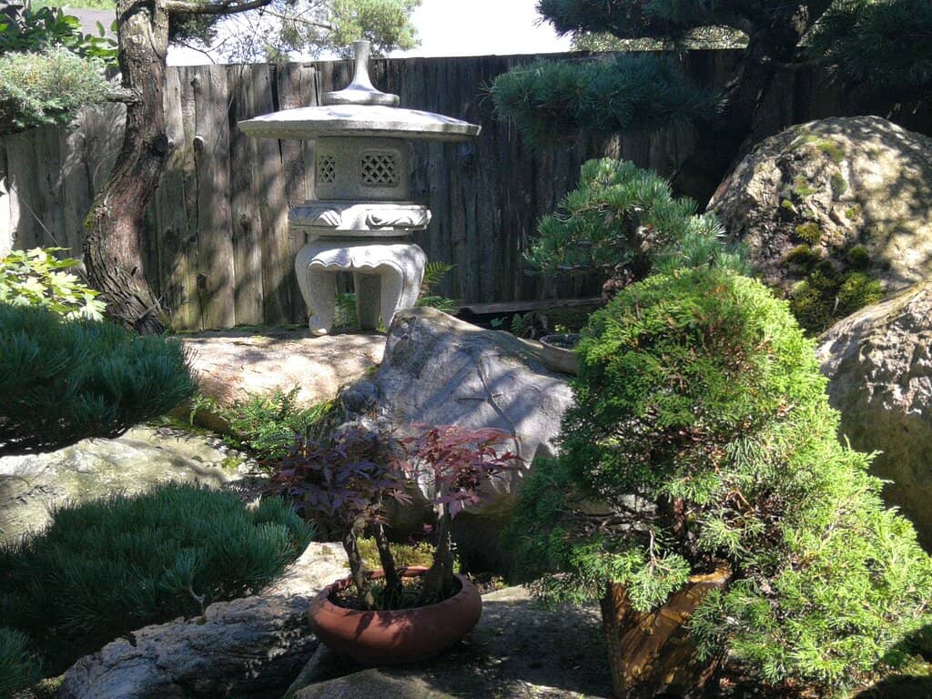 Exquisite Flora