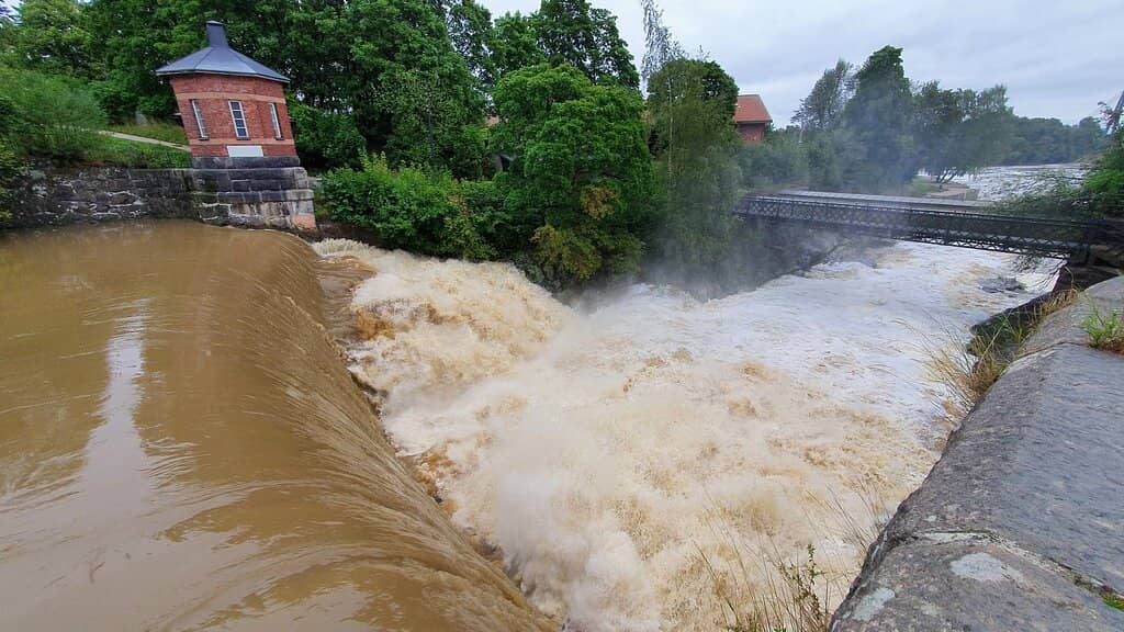 Salmon Spawning Grounds