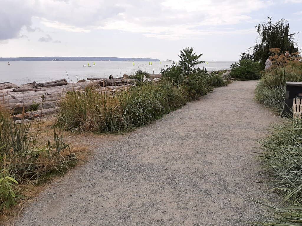 Lions Gate Bridge Views