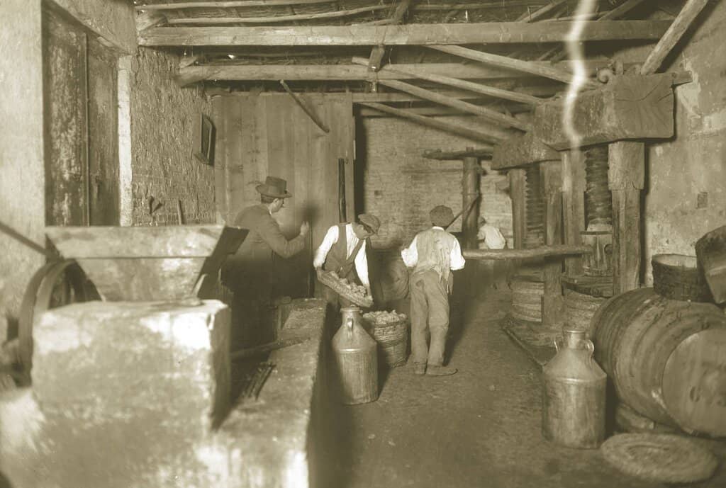 Ancient Tools & Modern Uses