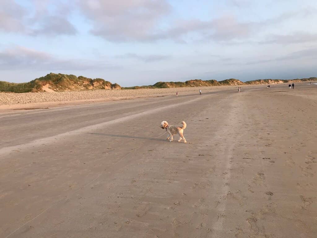 Scenic Coastal Walks