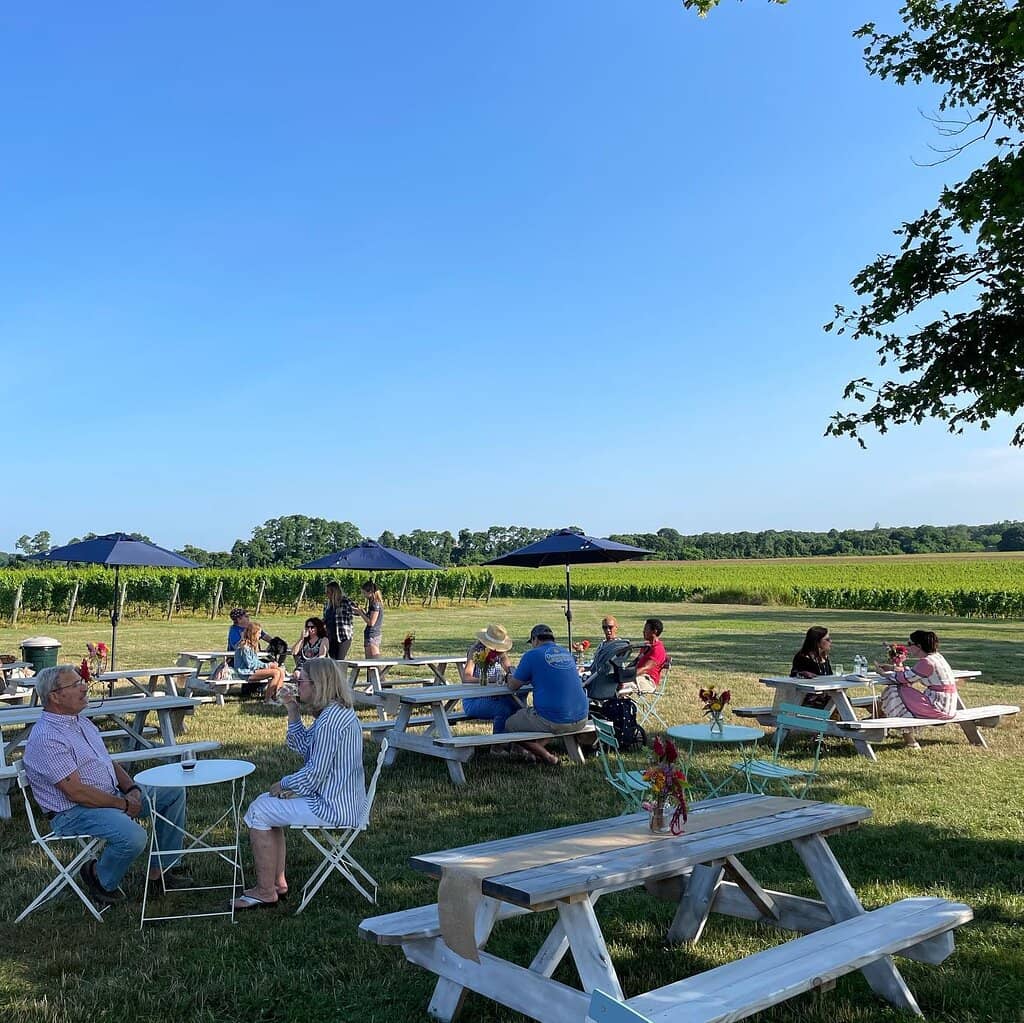Picnic & Play Areas