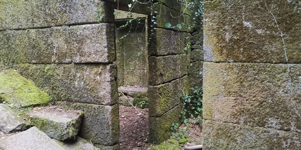 Nature Reserve Views