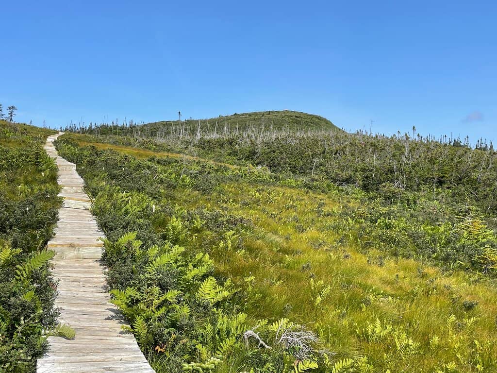 Summit Loop with Benches