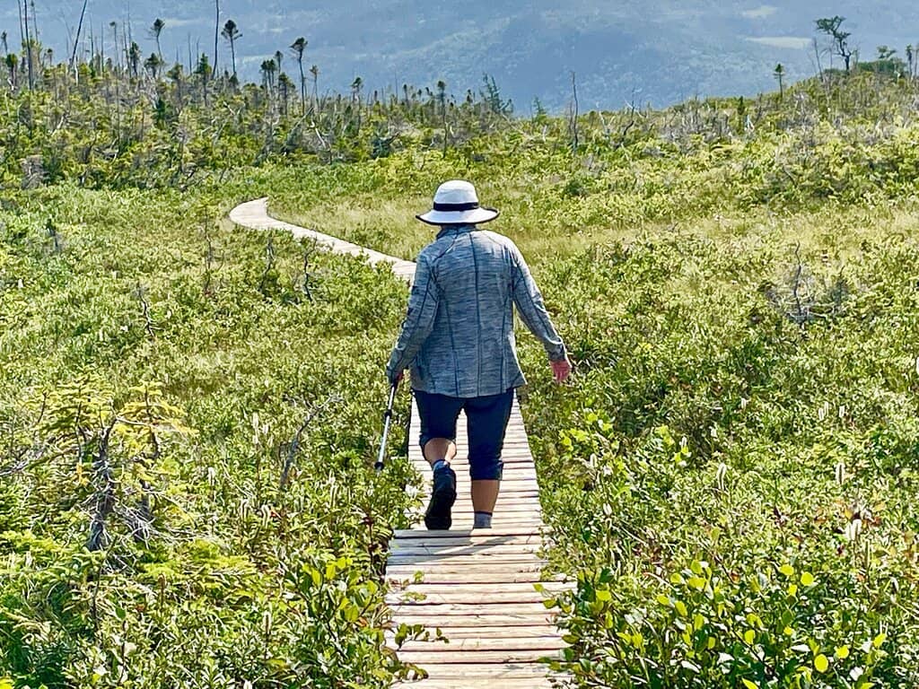 Panoramic Tablelands Vista