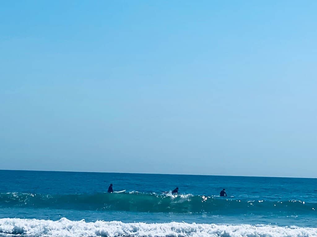 Surfer's Paradise