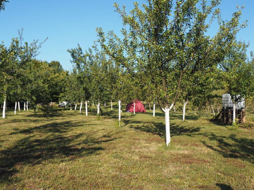 Panoramic Valley Views