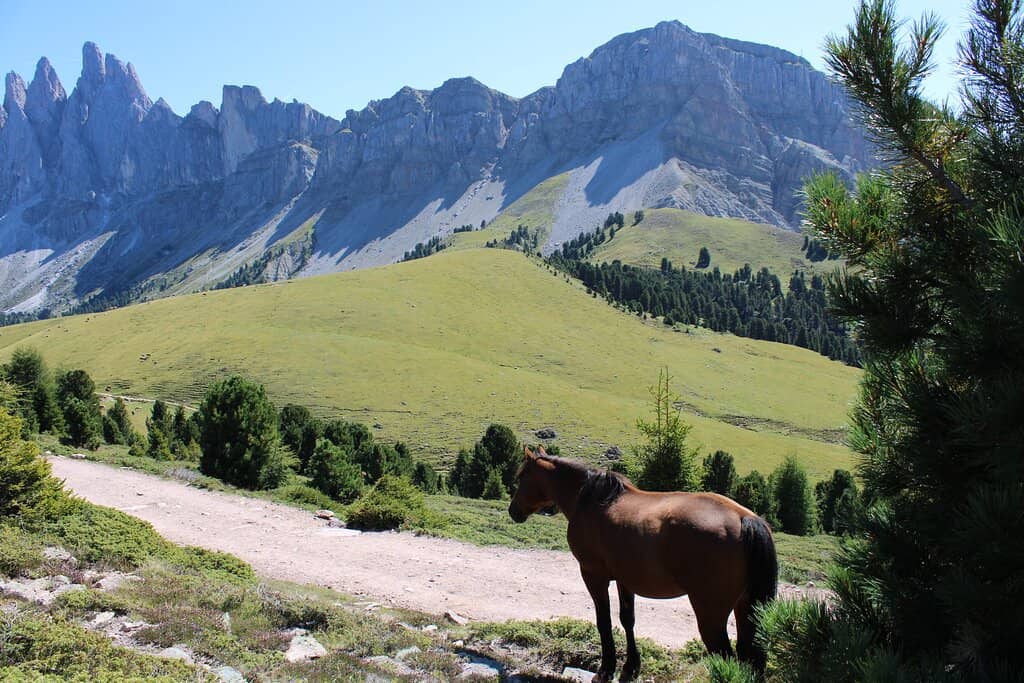 Geisler Group Peaks