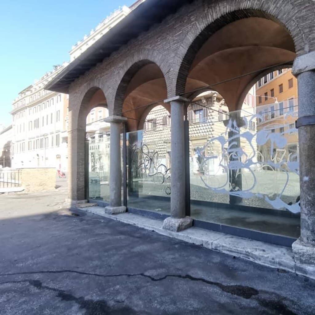 Vulnerable Cats' Safe Haven