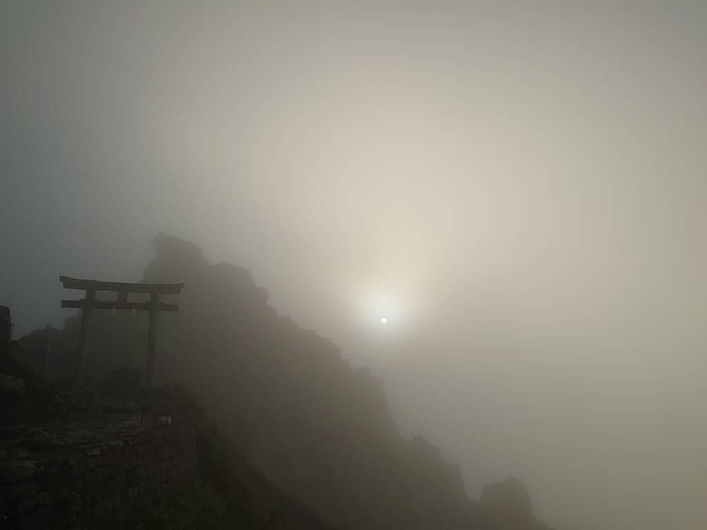 Majestic Forest Approach