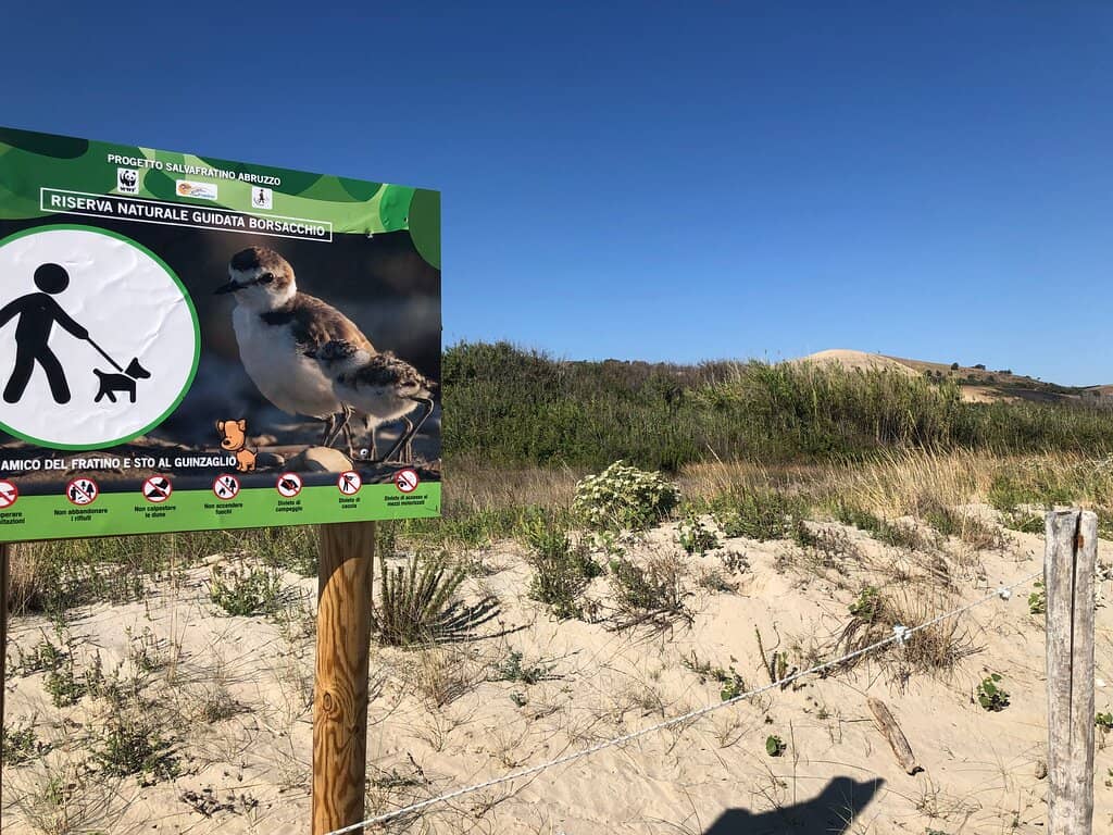 Potential Wildlife Sightings