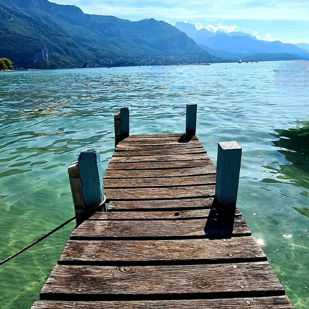 Urban Jungle Ambiance