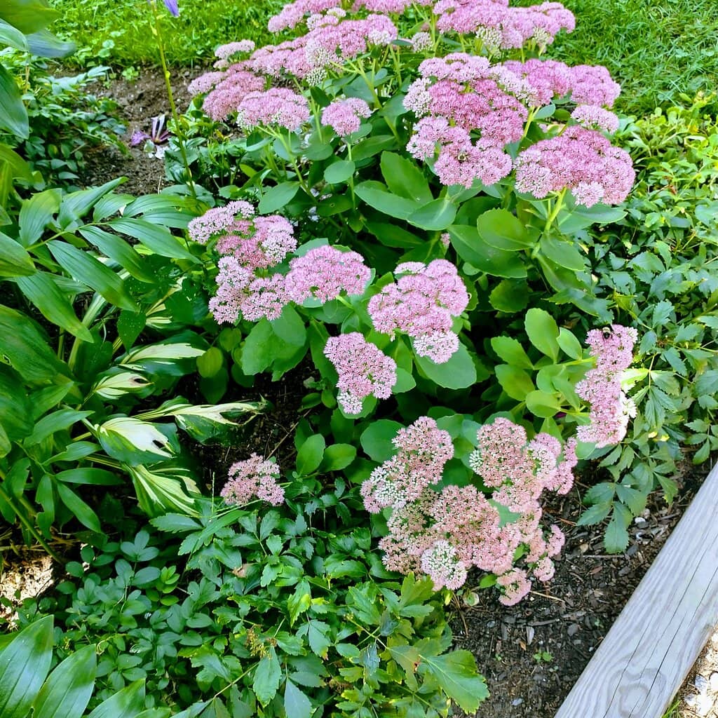 Brook Walk Trail