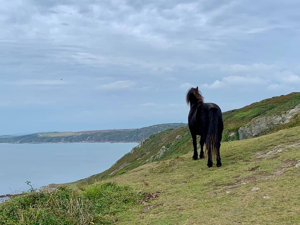 South West Coast Path