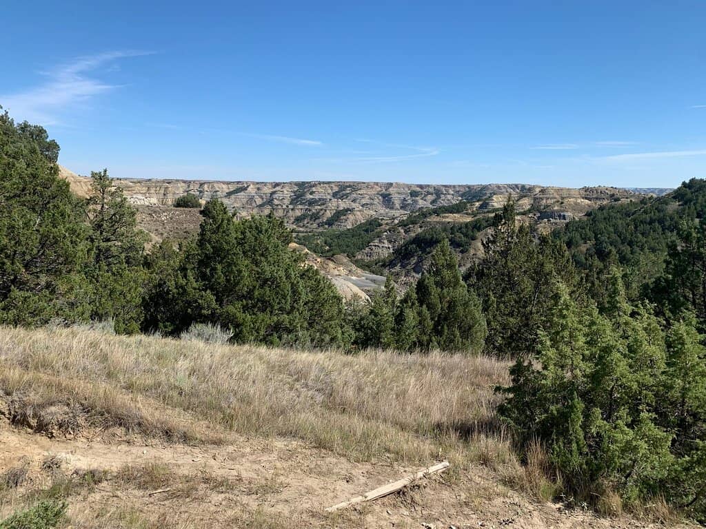 Nature Trail Exploration