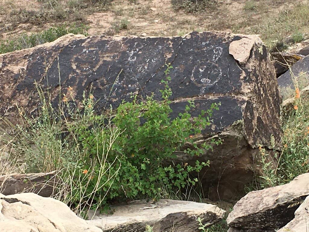 Petroglyph Trail