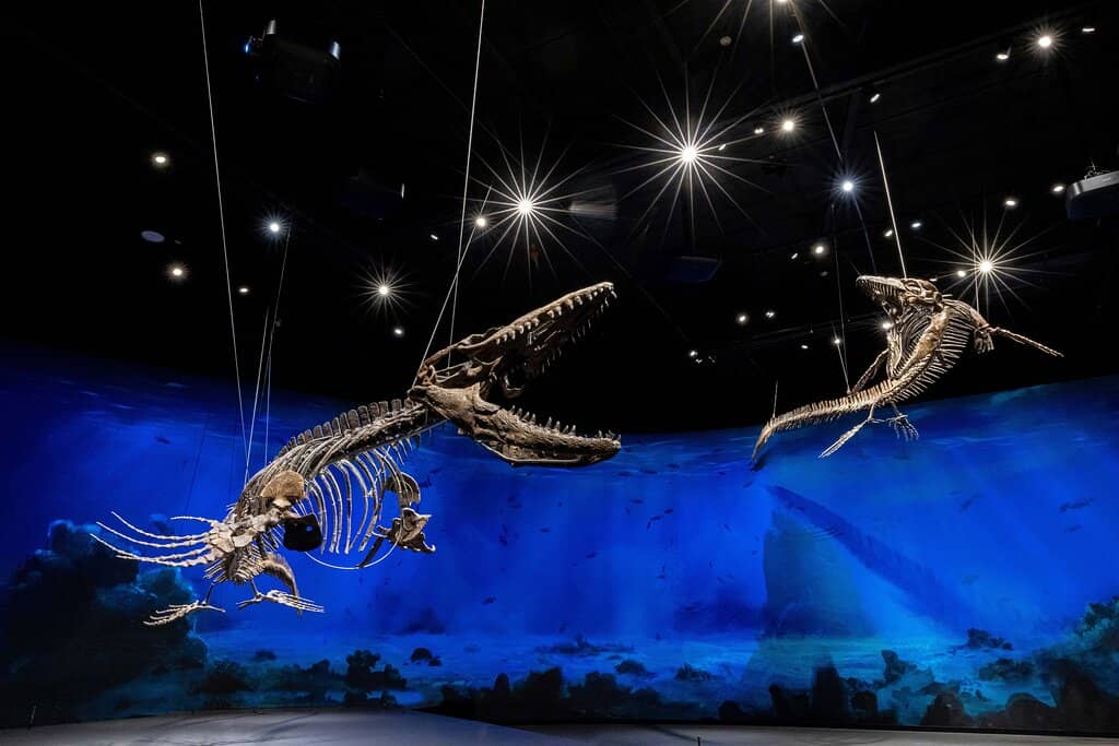 Interactive Exhibits