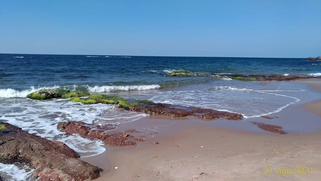 Sandy Shores