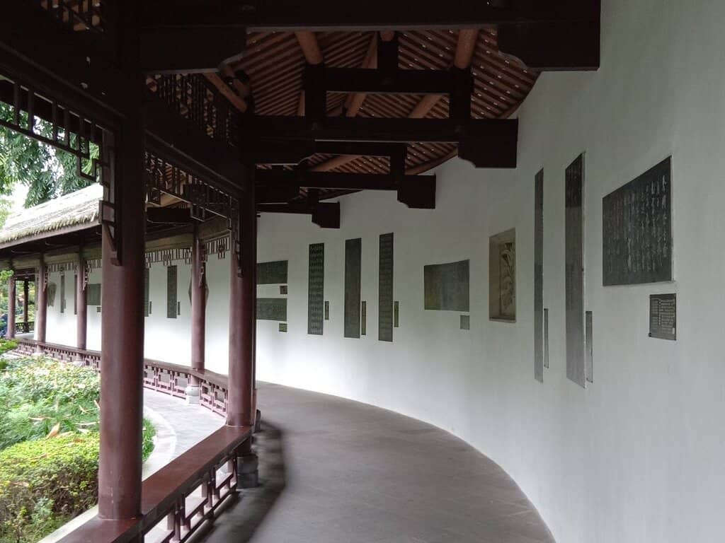 White-browed Laughingthrush Spotting