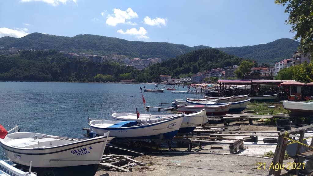 Fish Restaurants