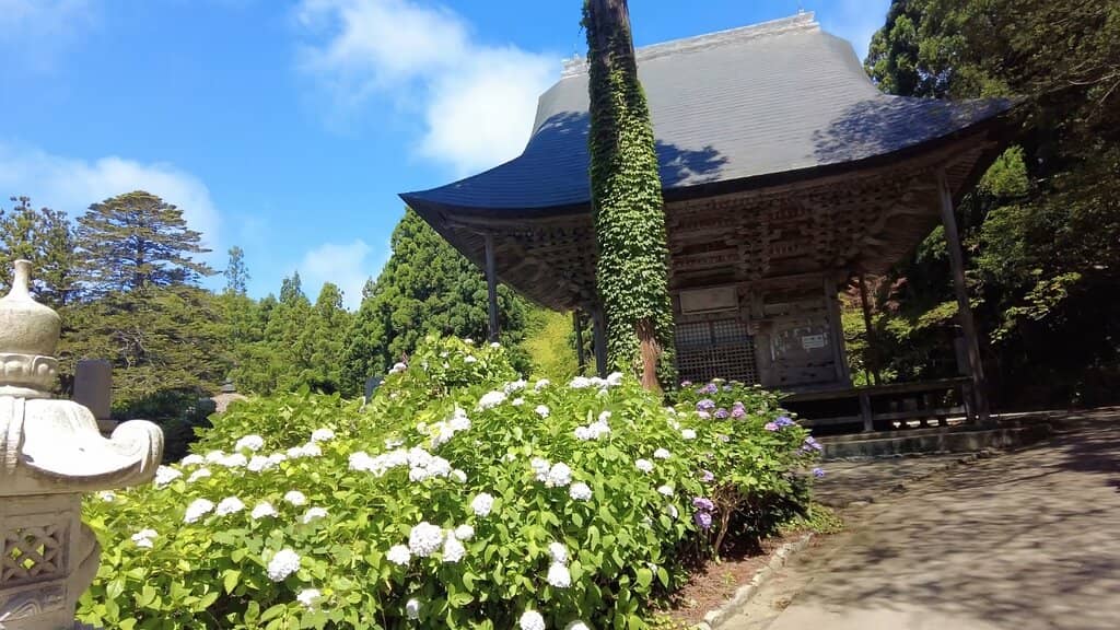 Tranquil Pond Garden