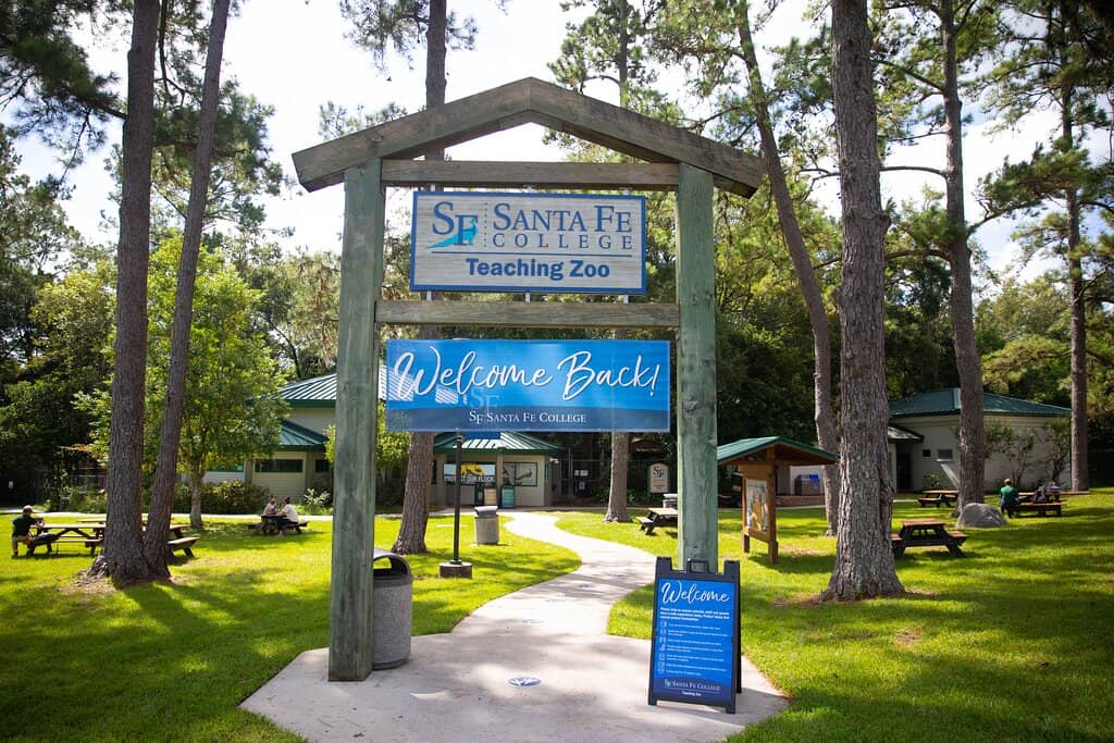 Asian Small-Clawed Otters