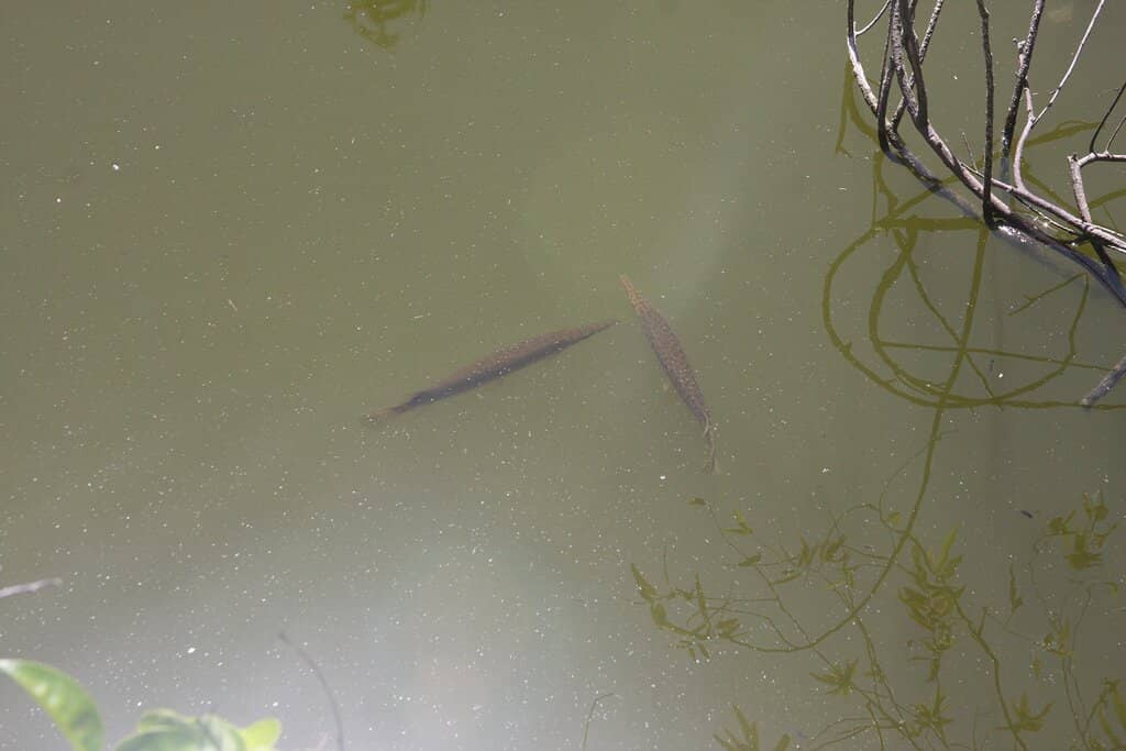 Smallest Post Office