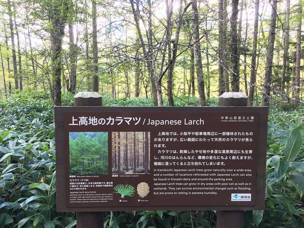 Myojin Pond