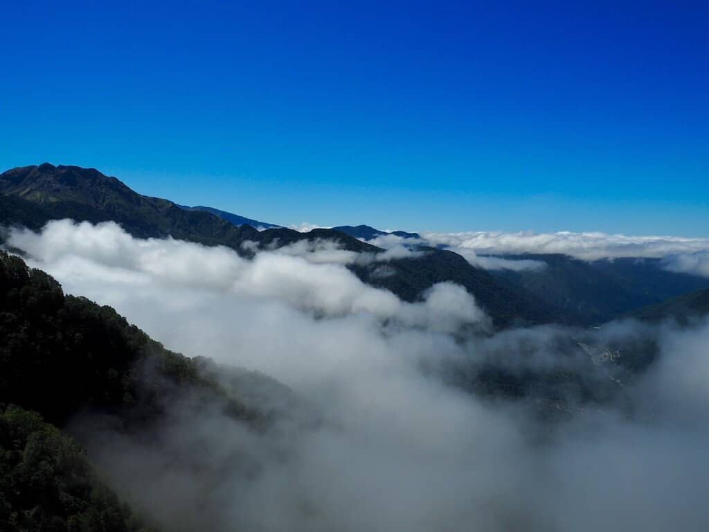 Winter Wonderland Snowscapes