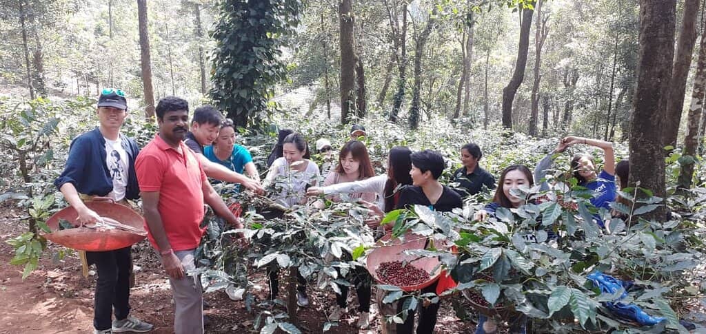 Freshly Brewed Coffee Tasting
