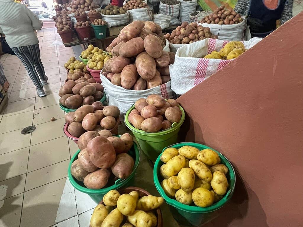 Vibrant Produce Stalls