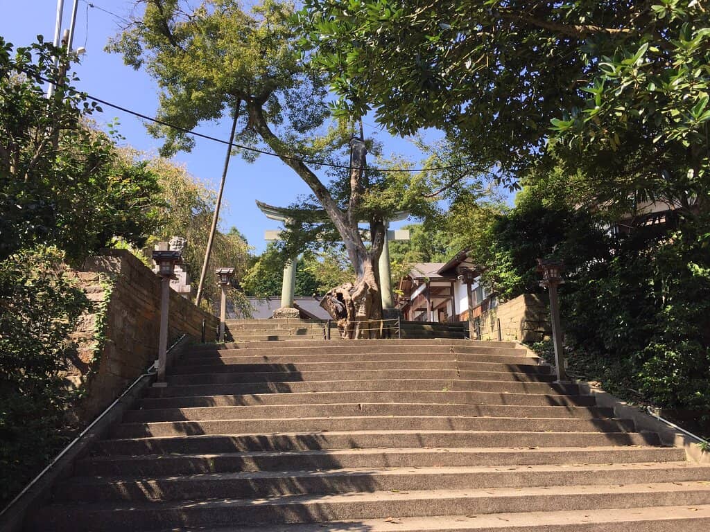 Panoramic City Views