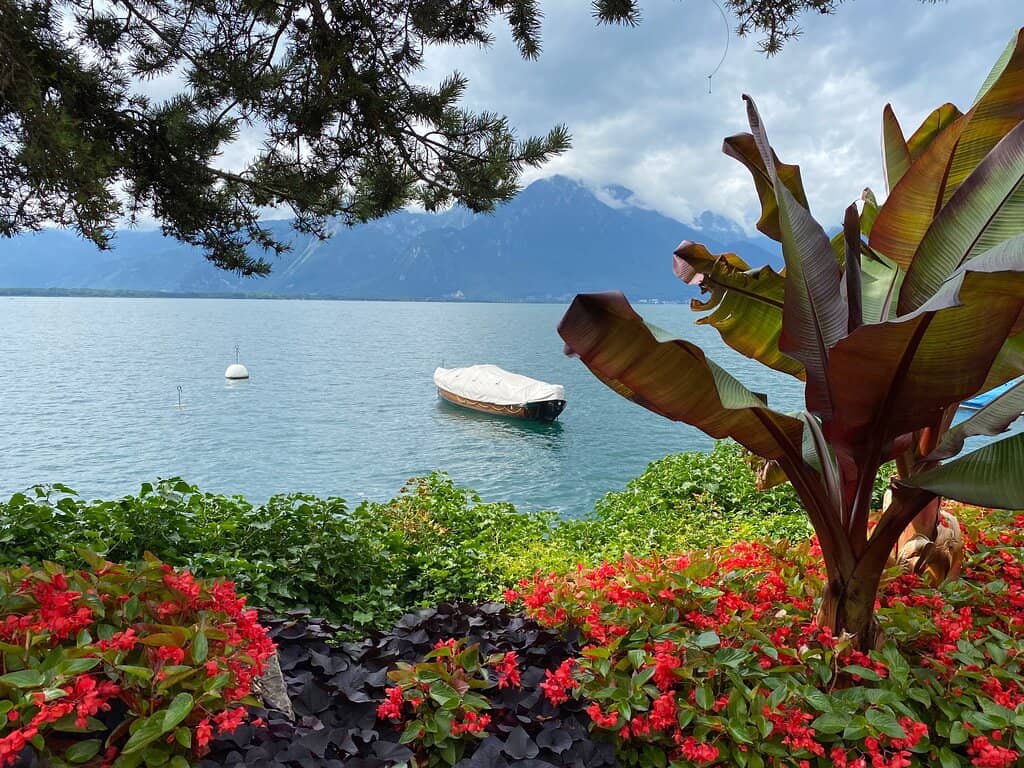 Statues and Art Installations